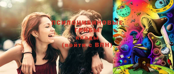 PSILOCYBIN Беломорск