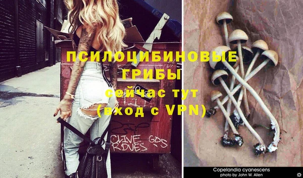 apvp Белоозёрский