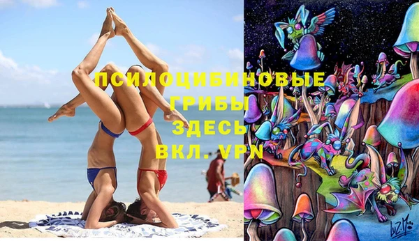 PSILOCYBIN Балабаново