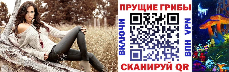 наркотики  Бор  Галлюциногенные грибы ЛСД 